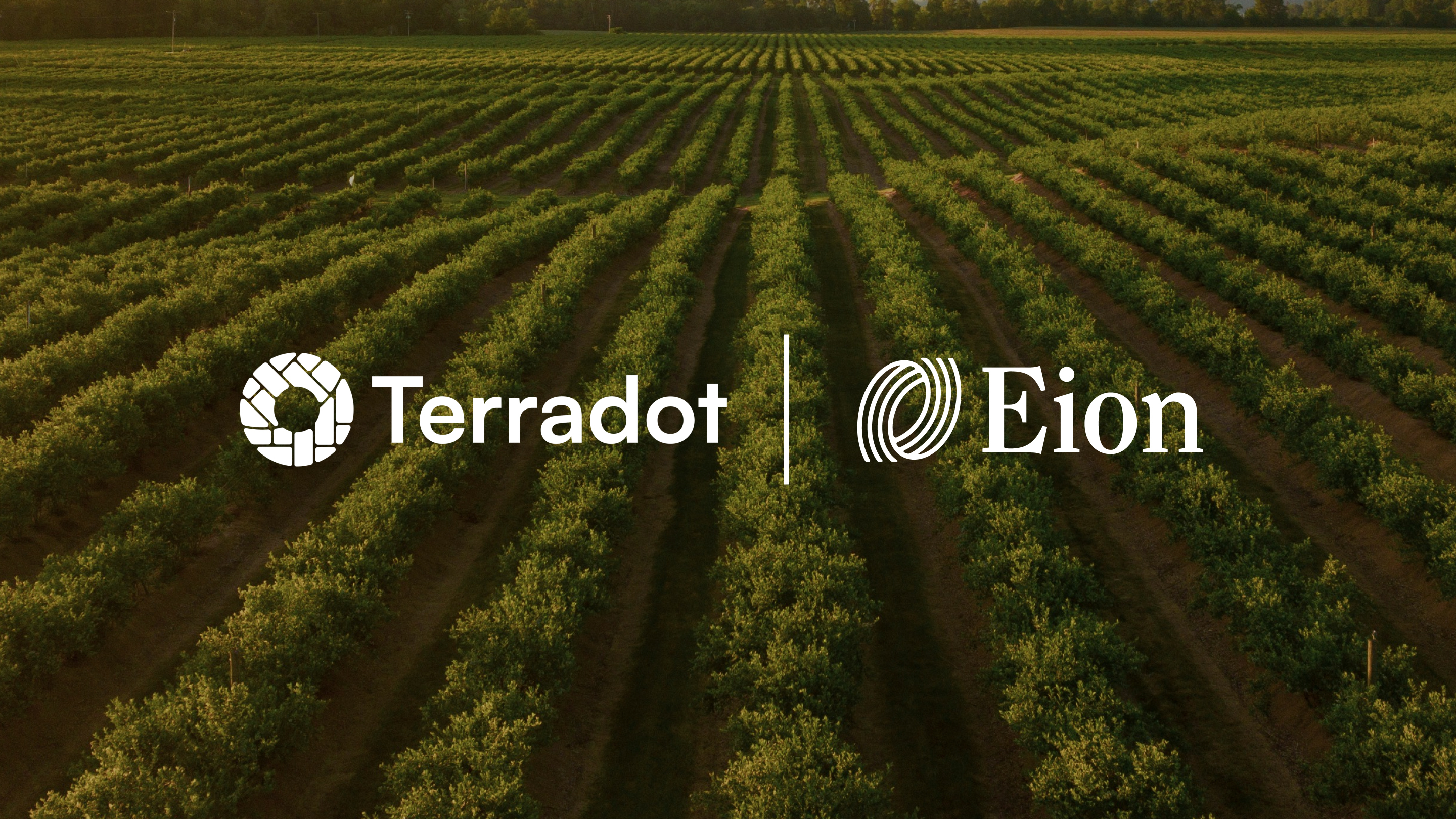 Logos of Terradot and Eion set in front of a background photo of large agricultural field of trees.